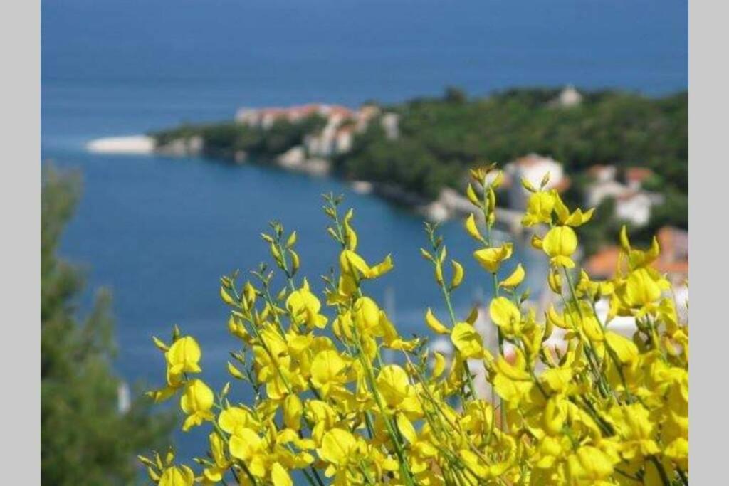 Seaview Apartment Sparkle Iskra - Povlja, Brac Povlja  Exterior photo